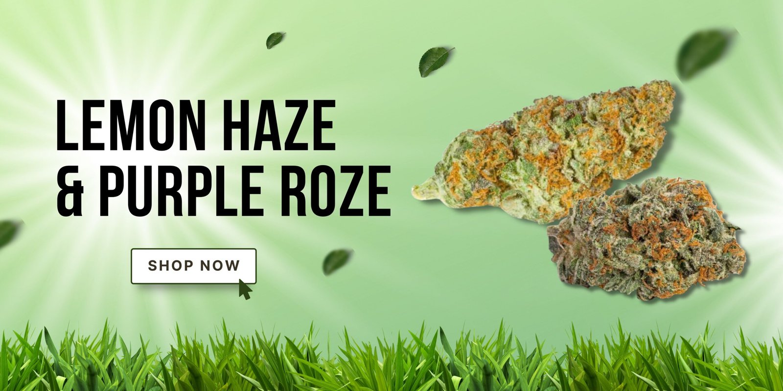 lemon-haze-purple-roze-slider-2